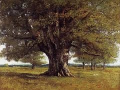 The Oak of Flagey by Gustav Courbet