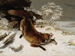 Fox in the Snow by Gustave Courbet